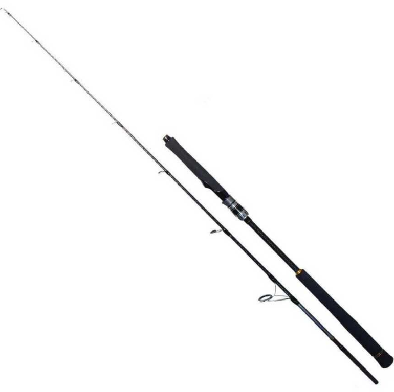 Ryuji Seawolf 198 cm 30-150 gr Light Jig Kamışı
